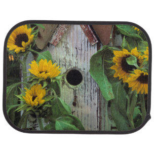 USA, Pennsylvania. Birdhouse and garden Car Mat