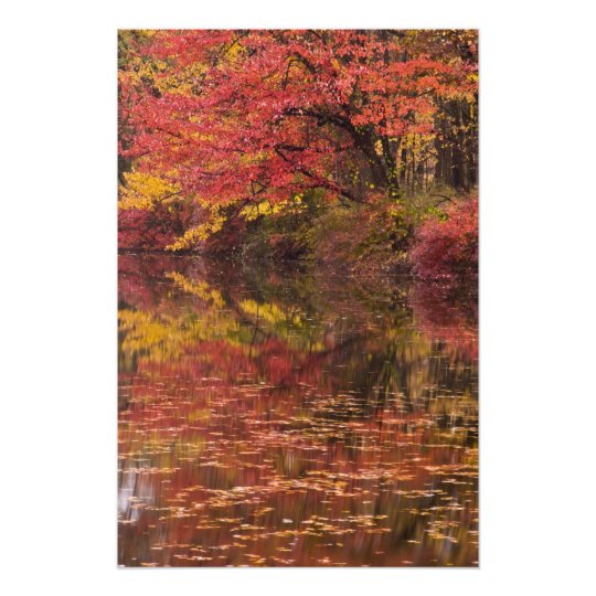 USA, Pennsylvania, Delaware Water Gap National 2 Photo Print