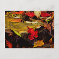 USA, Pennsylvania, Pocono Mountains 1