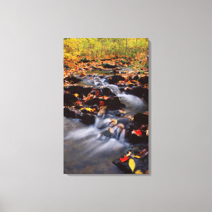 USA, Pennsylvania, Pocono Mountains 2 Canvas Print