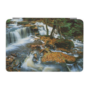 USA, Pennsylvania, Ricketts Glen State Park iPad Mini Cover