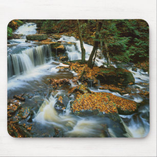 USA, Pennsylvania, Ricketts Glen State Park Mouse Pad