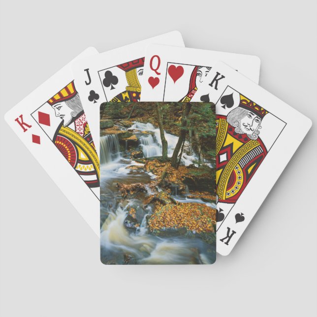 USA, Pennsylvania, Ricketts Glen State Park Poker Cards (Back)