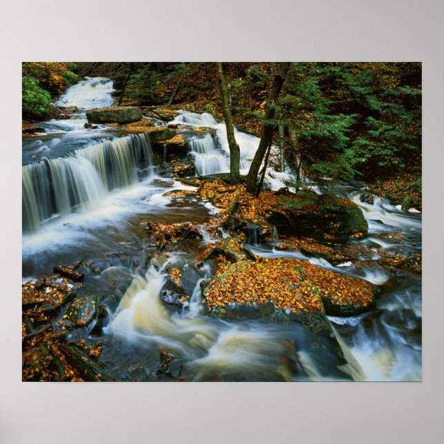 USA, Pennsylvania, Ricketts Glen State Park Poster (Front)