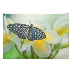 USA, Pennsylvania. Swallowtail butterfly Cloth Placemat