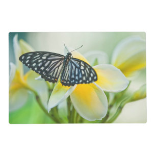 USA, Pennsylvania. Swallowtail butterfly Placemat
