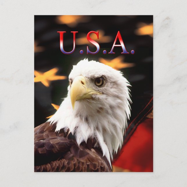 USA POSTCARD (Front)