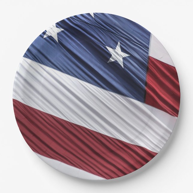 USA Red, White and Blue American Patriotic Flag Paper Plates (Front)