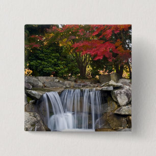 USA, Redmond, Washington. Fall color in a park. Button