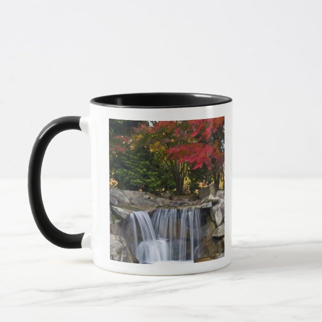 USA, Redmond, Washington. Fall color in a park. Mug (Left)