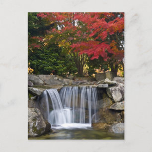 USA, Redmond, Washington. Fall color in a park. Postcard