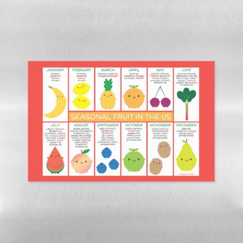 USA Seasonal Fruits Chart Magnetic Dry Erase Sheet