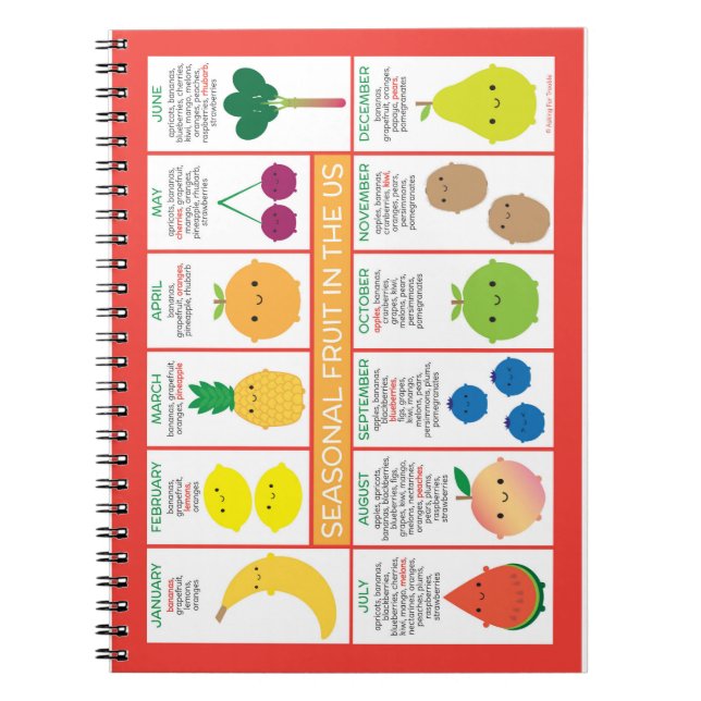 USA Seasonal Fruits Chart Notebook (Front)