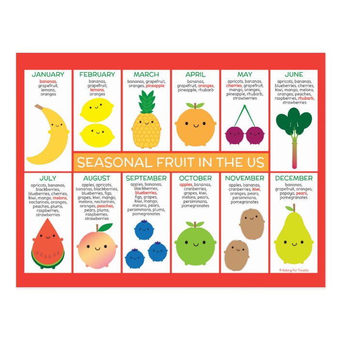 USA Seasonal Fruits Chart Postcard