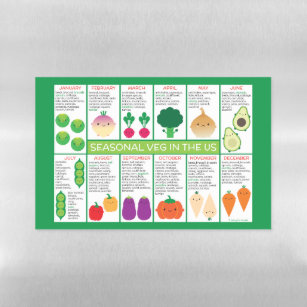 USA Seasonal Vegetables Chart Magnetic Dry Erase Sheet