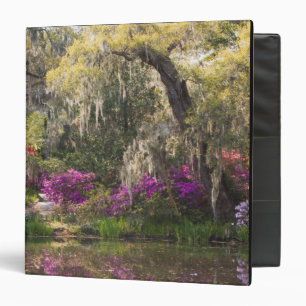 USA, South Carolina, Charleston. Cypress Trees 2 3 Ring Binder