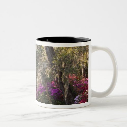 USA South Carolina Charleston Cypress Trees 2 Two_Tone Coffee Mug