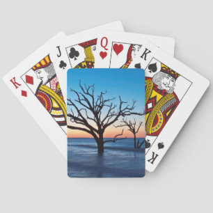 USA, South Carolina, Edisto Island, Botany Bay Poker Cards
