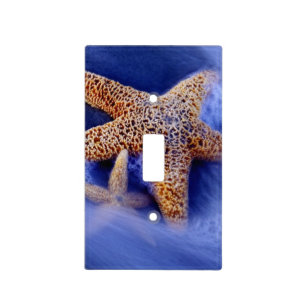 USA, South Carolina, Hilton Head Island. Two Light Switch Cover