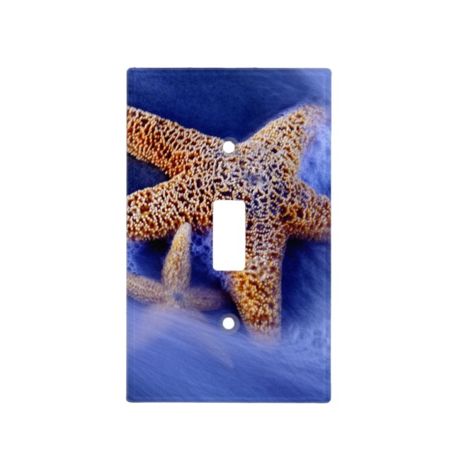 USA, South Carolina, Hilton Head Island. Two Light Switch Cover (Front)