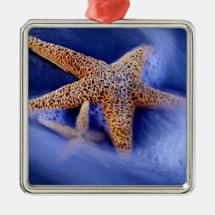 USA, South Carolina, Hilton Head Island. Two Metal Ornament