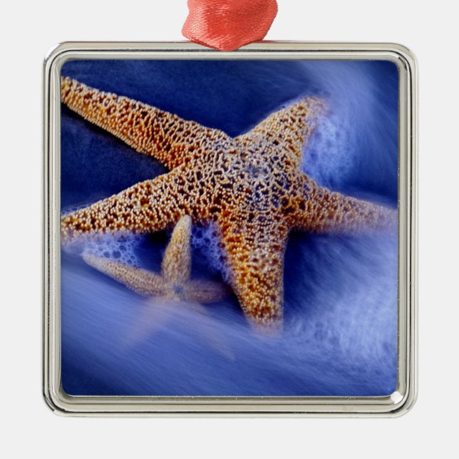 USA, South Carolina, Hilton Head Island. Two Metal Ornament (Front)