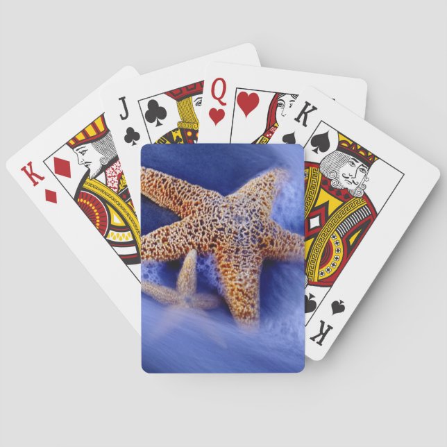 USA, South Carolina, Hilton Head Island. Two Poker Cards (Back)