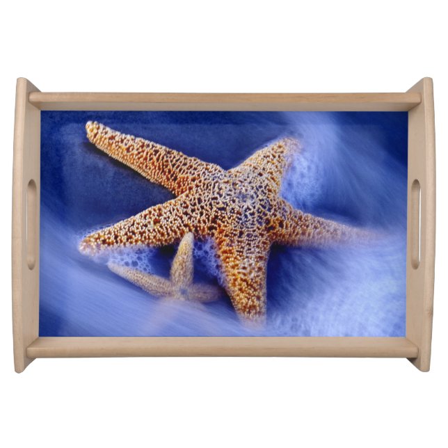 USA, South Carolina, Hilton Head Island. Two Serving Tray (Front)