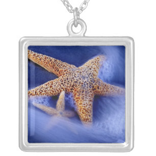 USA, South Carolina, Hilton Head Island. Two Silver Plated Necklace