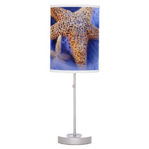 USA, South Carolina, Hilton Head Island. Two Table Lamp