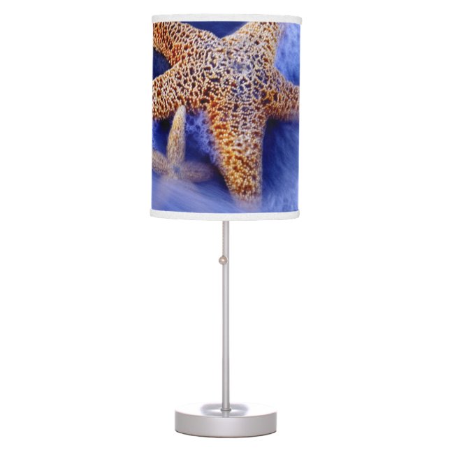 USA, South Carolina, Hilton Head Island. Two Table Lamp (Front)