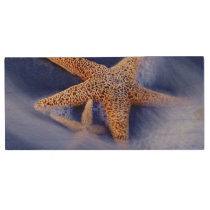 USA, South Carolina, Hilton Head Island. Two Wood Flash Drive