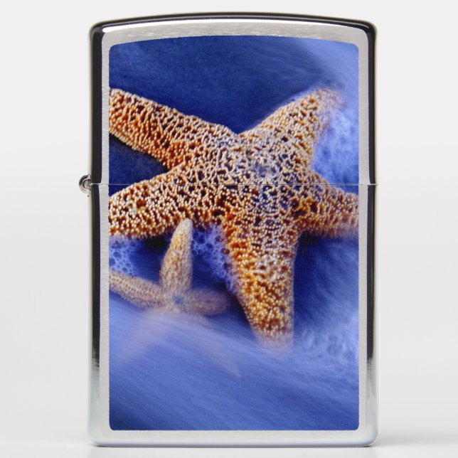 USA, South Carolina, Hilton Head Island. Two Zippo Lighter (Front)