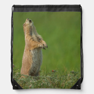 USA, South Dakota, Custer State Park Drawstring Bag