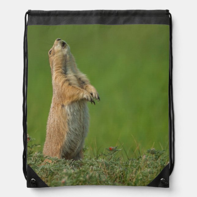 USA, South Dakota, Custer State Park Drawstring Bag (Front)