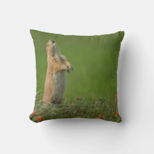 USA, South Dakota, Custer State Park Throw Pillow