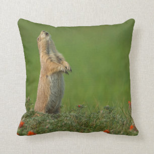 USA, South Dakota, Custer State Park Throw Pillow