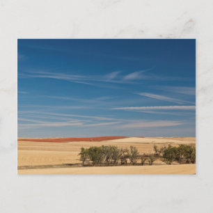 USA, South Dakota, Murdo, Prairie Landscape Postcard