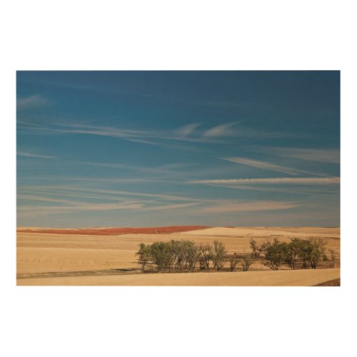 USA South Dakota Murdo Prairie Landscape Wood Wall Art