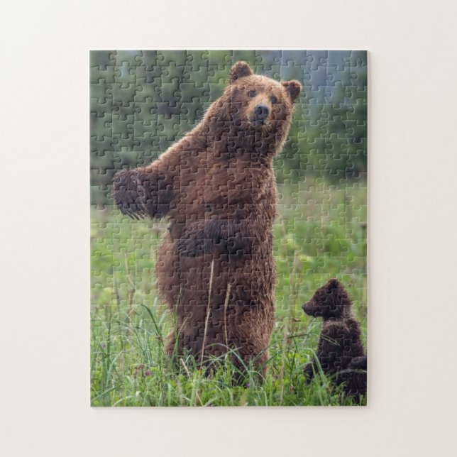 USA, Southeast Alaska, Brown Bear and cub Jigsaw Puzzle (Vertical)