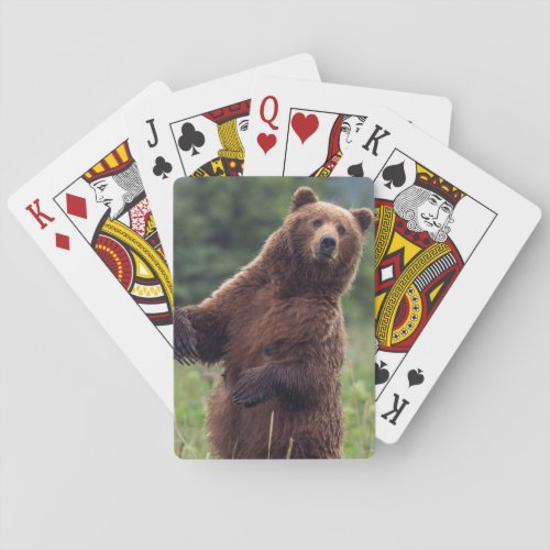 USA Southeast Alaska Brown Bear and cub Playing Cards