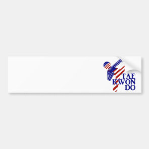 USA Taekwondo Kick (2) Bumper Sticker