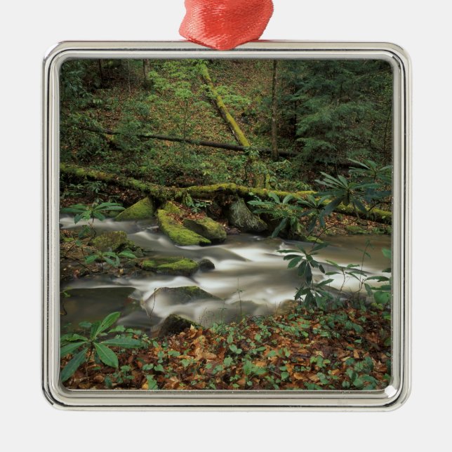 USA, Tennessee. Big South Fork National River Metal Ornament (Front)