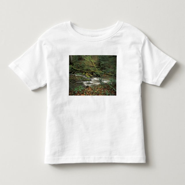 USA, Tennessee. Big South Fork National River Toddler T-shirt (Front)