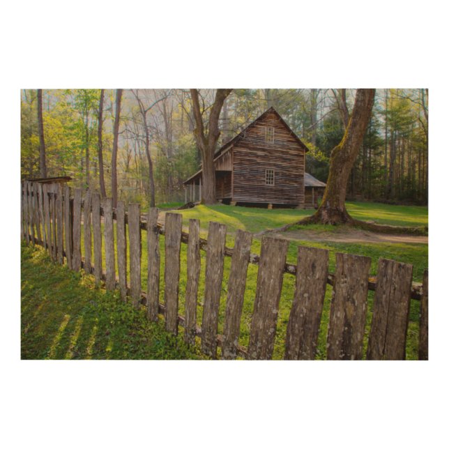 USA, Tennessee, Cabin In Cades Cove Wood Wall Art (Front)