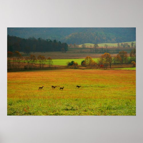 USA Tennessee Cades Cove In Smoky Mountain 2 Poster