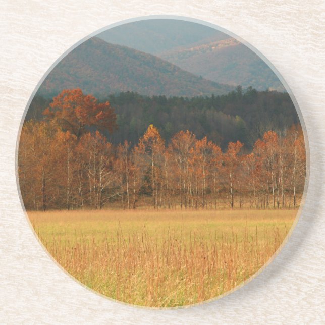 USA, Tennessee. Cades Cove In Smoky Mountain Drink Coaster (Front)