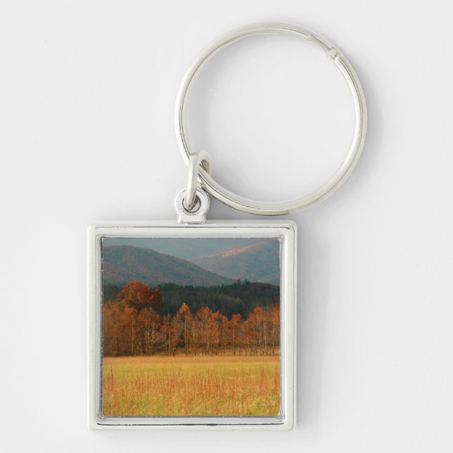 USA, Tennessee. Cades Cove In Smoky Mountain Keychain (Front)
