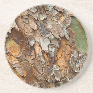 USA, Tennessee, Close Up Of Bark On A Tree Coaster