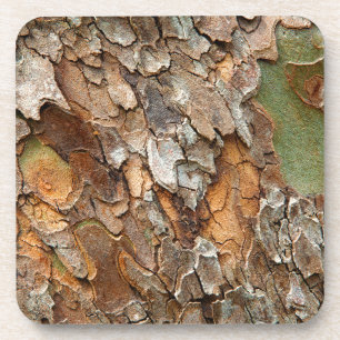 USA, Tennessee, Close Up Of Bark On A Tree Coaster